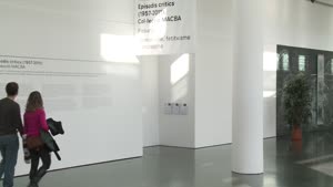 Episodis crítics (1957-2011). Col·lecció MACBA [Enregistrament audiovisual d'exposició per mitjans de comunicació]