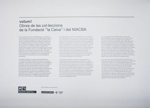 Lejos de los árboles. Jacinto Esteva a la Col·lecció MACBA [Reportatge fotogràfic exposició]