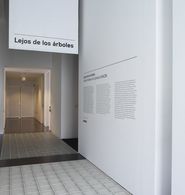 Lejos de los árboles. Jacinto Esteva a la Col·lecció MACBA [Reportatge fotogràfic exposició]