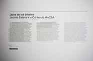 Lejos de los árboles. Jacinto Esteva a la Col·lecció MACBA [Reportatge fotogràfic exposició]