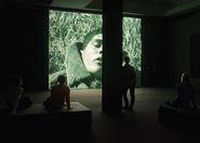 Sèries militars. Aleksandr Sokurov a la Col·lecció MACBA [Reportatge fotogràfic exposició]