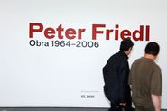 Peter Friedl. Obra 1964-2006 [Reportatge fotogràfic inauguració exposició]