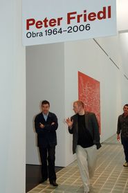 Peter Friedl. Obra 1964-2006 [Reportatge fotogràfic inauguració exposició]