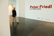 Peter Friedl. Obra 1964-2006 [Reportatge fotogràfic inauguració exposició]