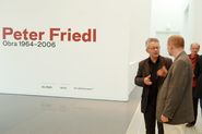 Peter Friedl. Obra 1964-2006 [Reportatge fotogràfic inauguració exposició]