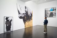 Desitjos i necessitats. Noves incorporacions a la Col·lecció MACBA [Reportatge fotogràfic inauguració exposició]