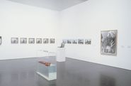 Col·lecció MACBA [Reportatge fotogràfic exposició]