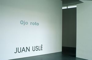 Juan Uslé. Ojo roto [Reportatge fotogràfic exposició]