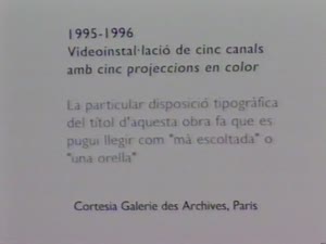 Gary Hill [Enregistrament audiovisual exposició]