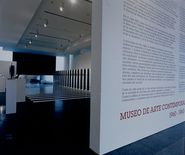 El Museu d'Art contemporani de Barcelona. 1960 - 1963 [Reportatge fotogràfic exposició]