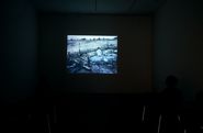 William Kentridge [Reportatge fotogràfic exposició]