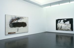 Antoni Tàpies. Retrospectiva [Reportatge fotogràfic exposició]