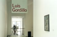 Superyo congelado. Luís Gordillo [Reportatge fotogràfic exposició]