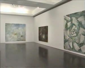 Miquel Barceló, 1987-1997 [Enregistrament audiovisual exposició]