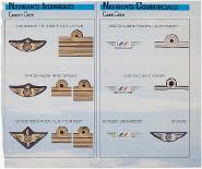 Navigants techniques = Cockpit crew ; Navigants commerciaux = Cabin crew