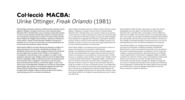 Col·lecció MACBA: Ulrike Ottinger. Freak Orlando [Vinil paret]