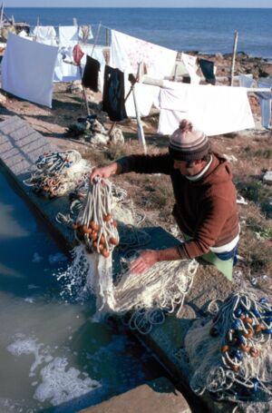 Pescador, [198-?-199-?] [Sèrie 35 mm - Pas Universal]